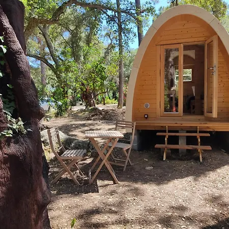 Camping Arutoli-2
