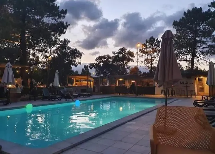 Hôtel accueillant les animaux: Camping U Stabiacciu