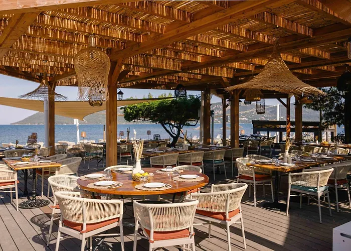Hôtel accueillant les animaux: Hôtel Marina Corsica