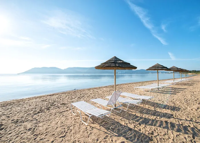 Hôtel accueillant les animaux: Hôtel Marina Corsica