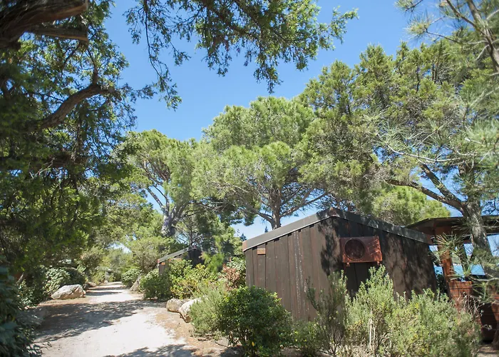 Hotel & Lodges Moby Dick