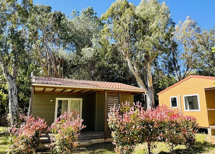 Hôtel accueillant les animaux: Camping La Baie des Voiles